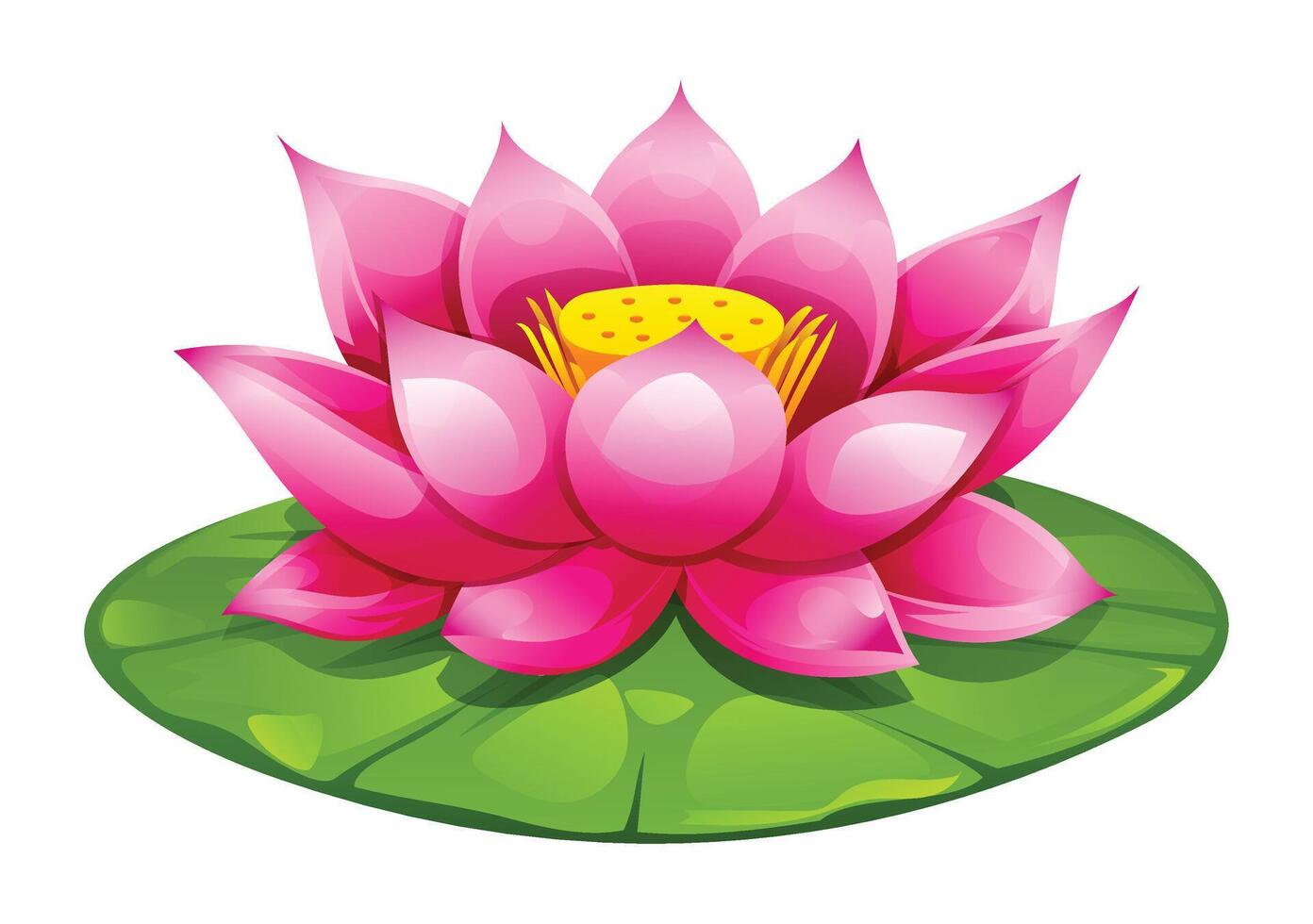 Pink lotus flower blooming on a lotus pad. Cartoon illustration vector