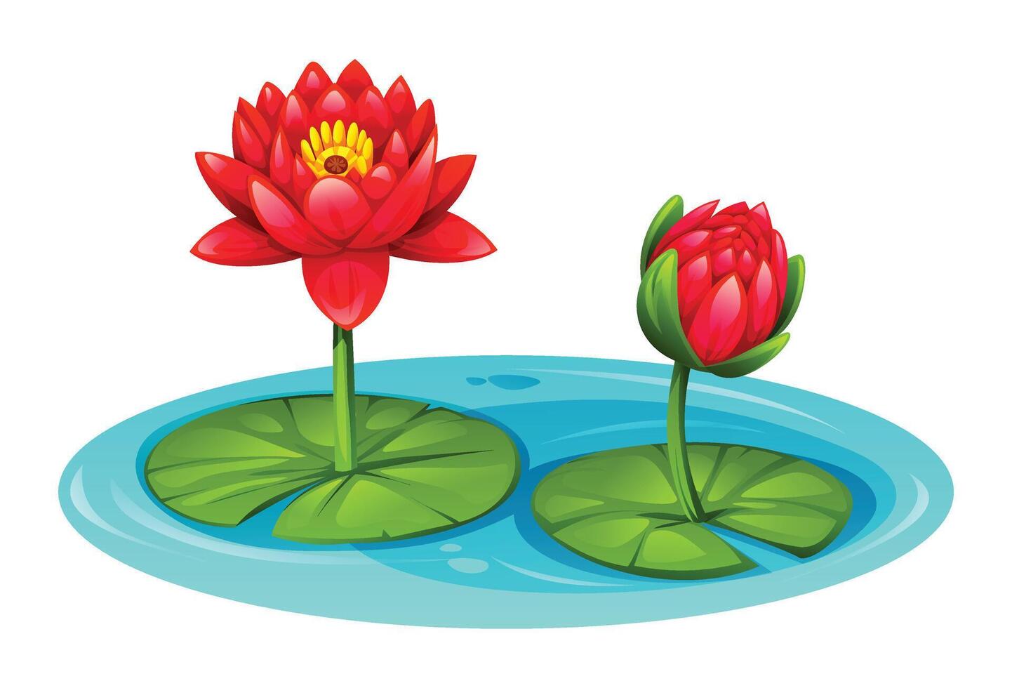 Red water lily flowers blooming on water, surrounded by lily pads, in a pond. Cartoon illustration vector