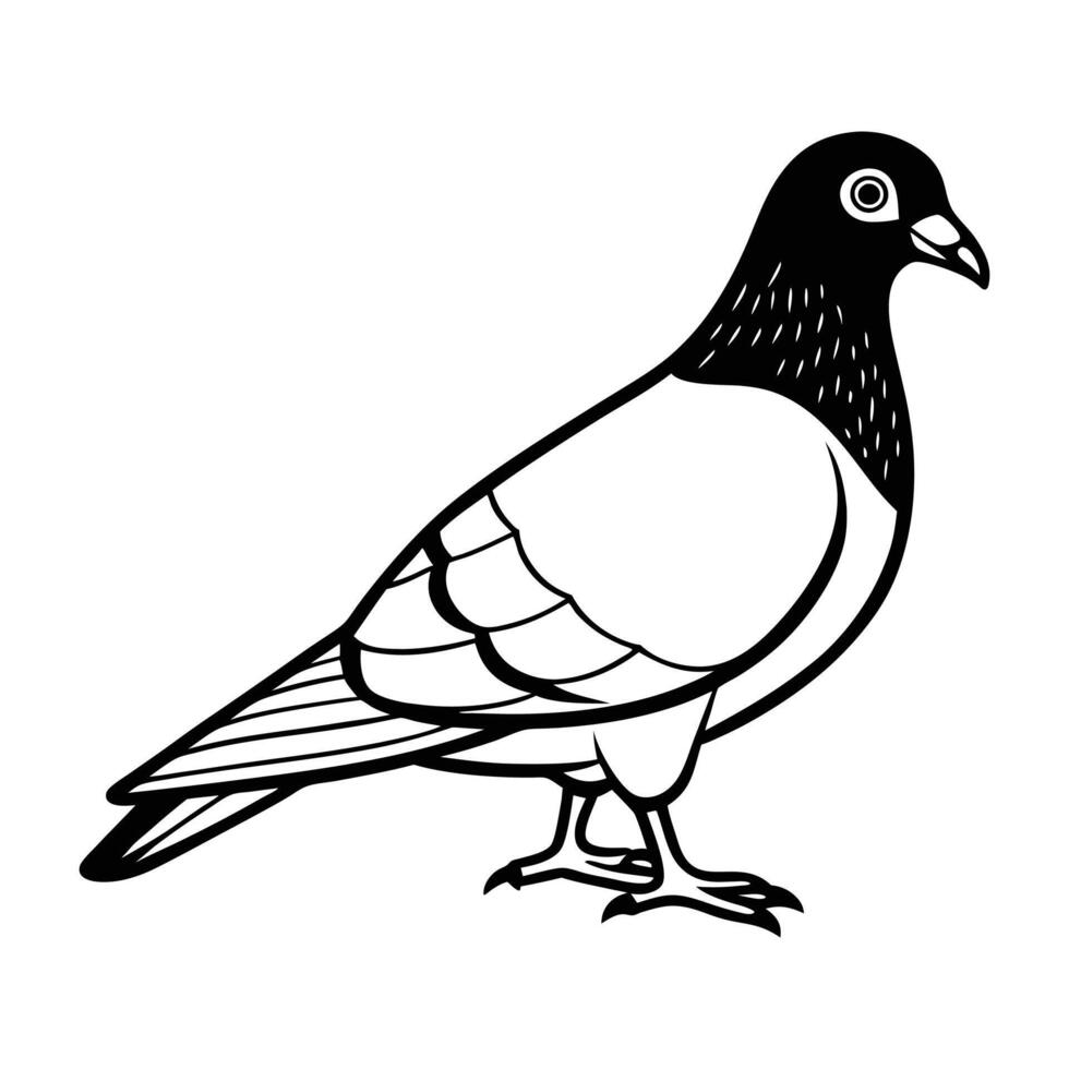 a black and white drawing of a pigeon vector