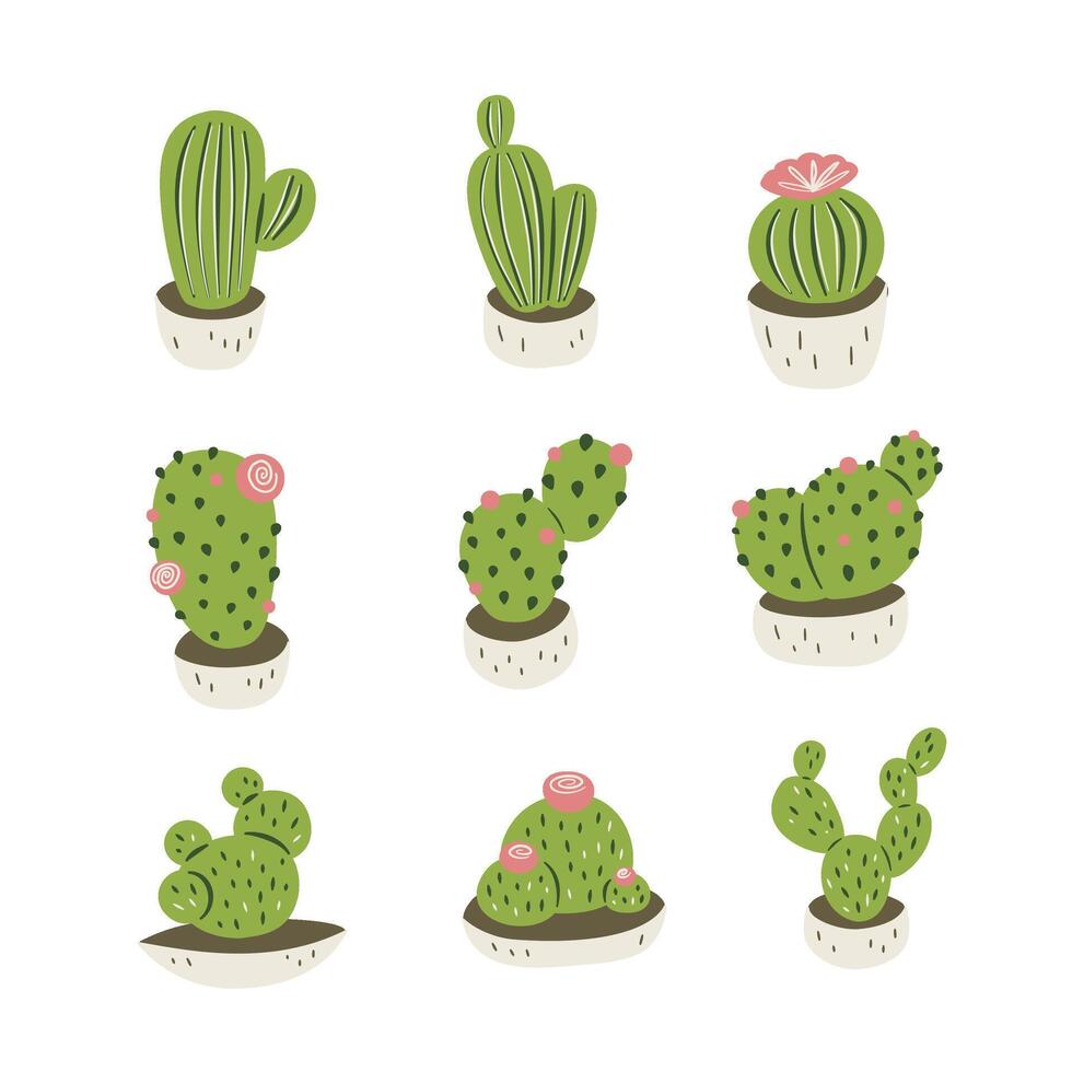 stylized cactus, cute cactuses vector