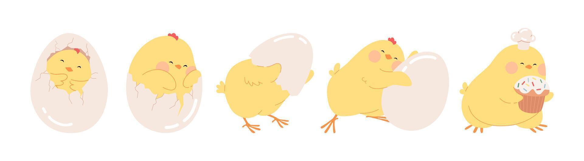 Chicken hatching from egg stages. Cute Easter character bird birth process. Easter yellow newborn little chick hatches from cracked shells. Funny Easter chicken illustration for cards, banners. vector