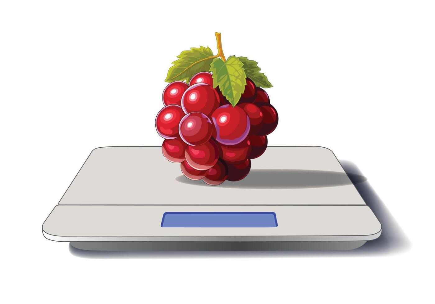 Grape Vine Kilo Scale, Merchandise, illustration isolated on white background. vector