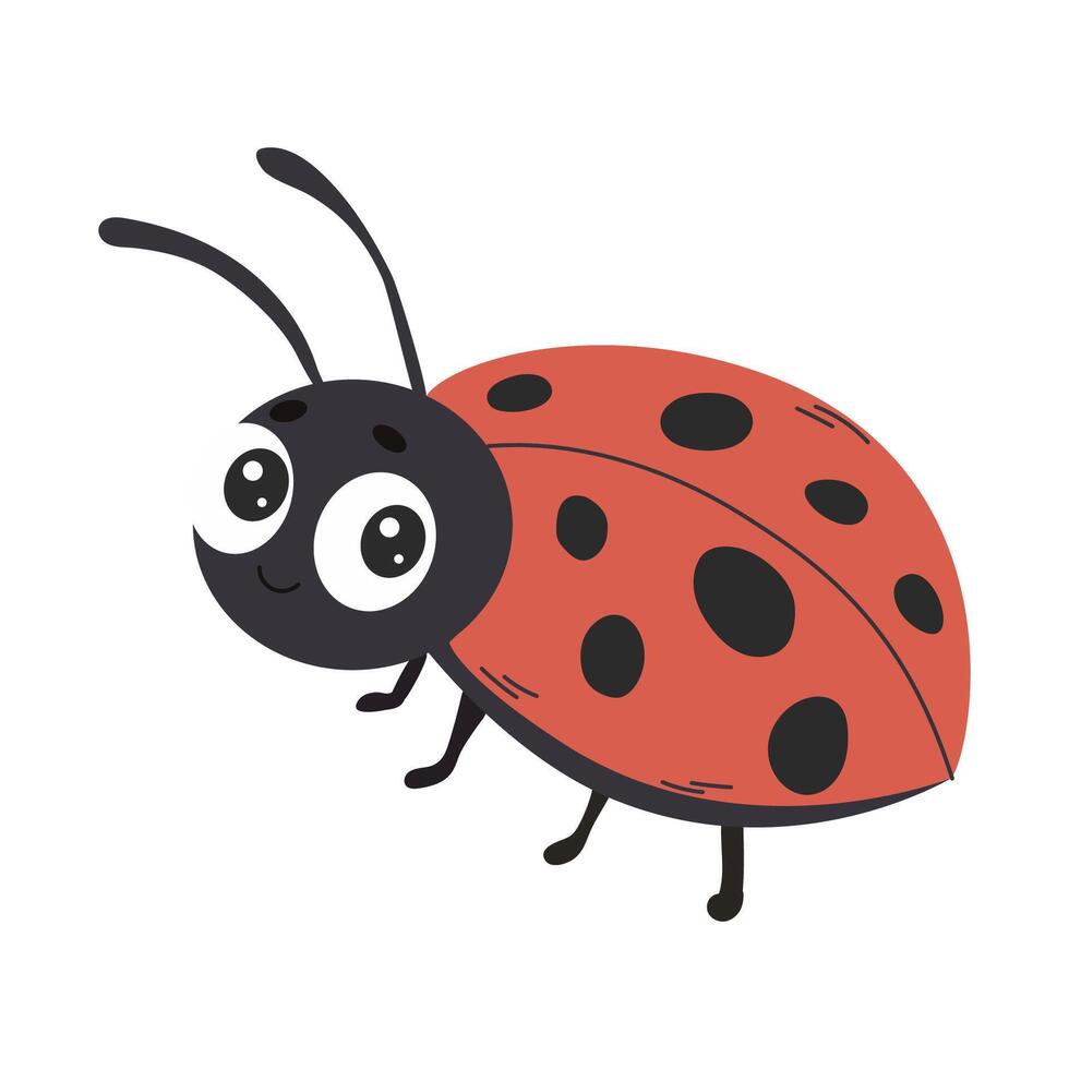 Ladybug cartoon insect cute character isolated on white background. vector