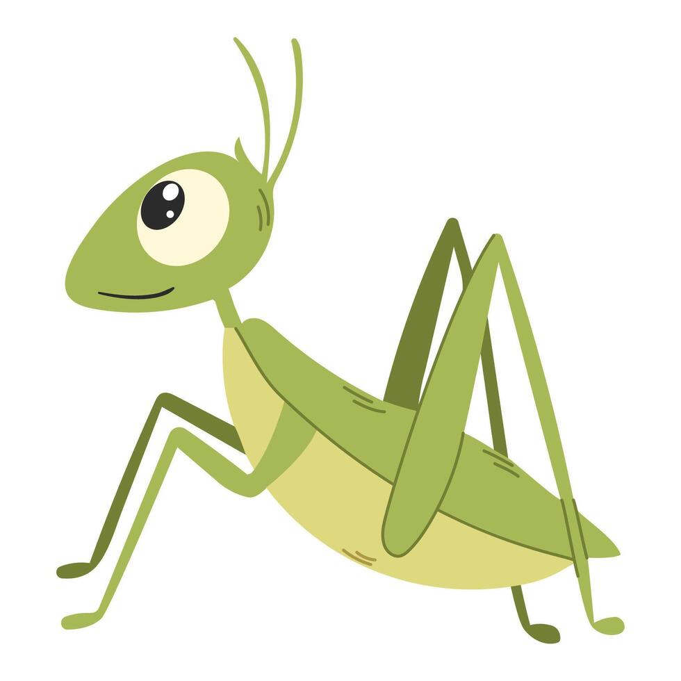 Grasshopper isolated on white background. Children's illustration. Illustration. vector