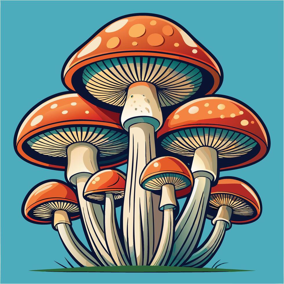 Set of Mushroom Line Art Illustrations vector
