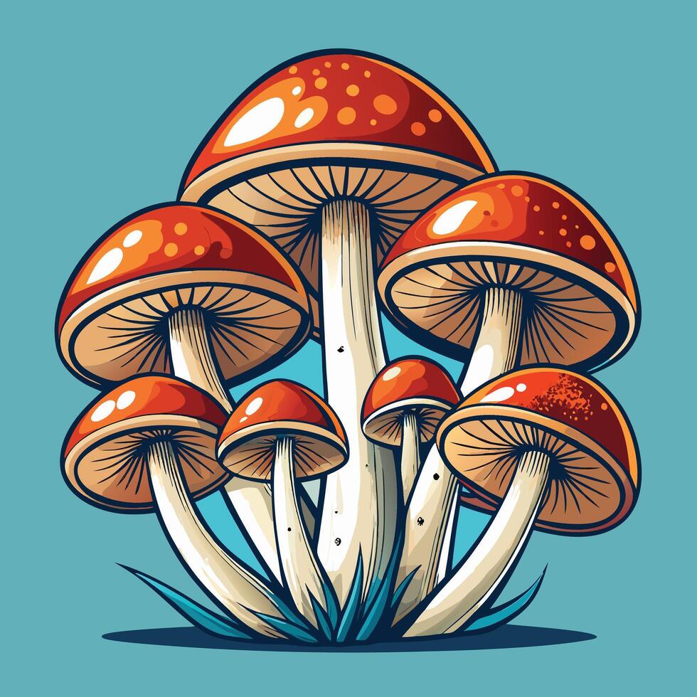 Stylized Edible and Psychedelic Mushrooms Set vector