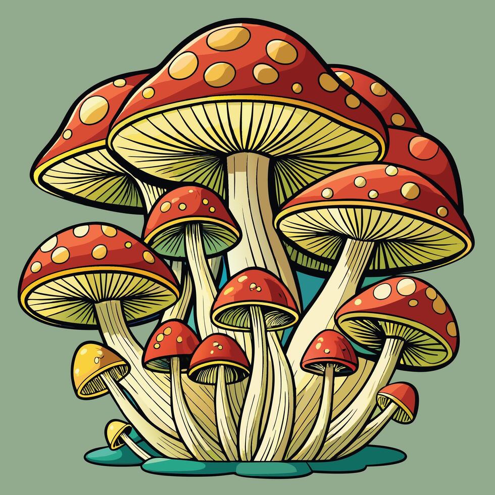 Botanical Amanita and Chanterelle Mushroom Set vector