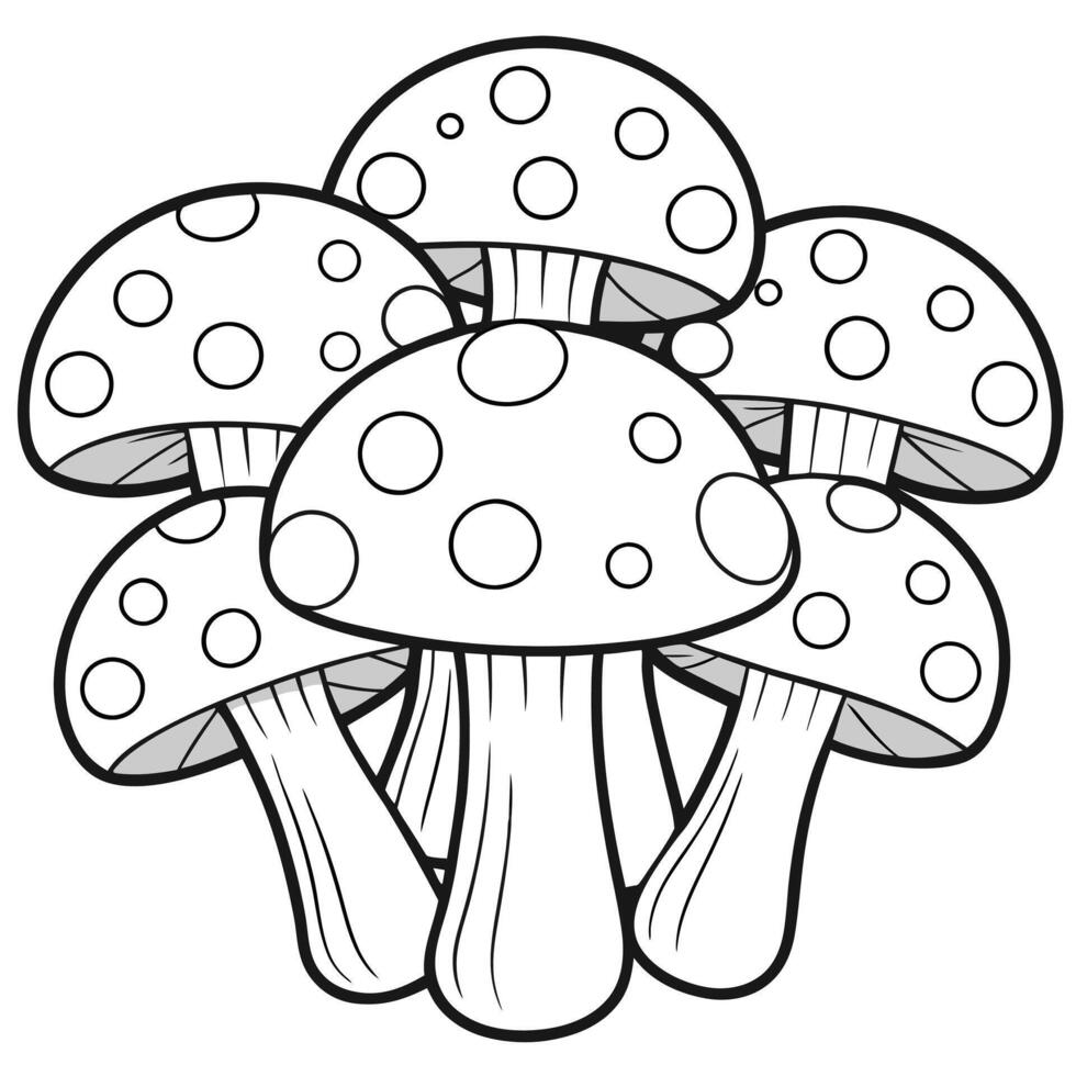 Edible and Poisonous Mushroom Collection vector