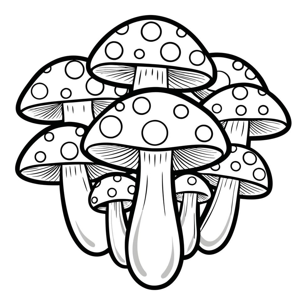 Set of Minimalist Mushroom Illustrations vector