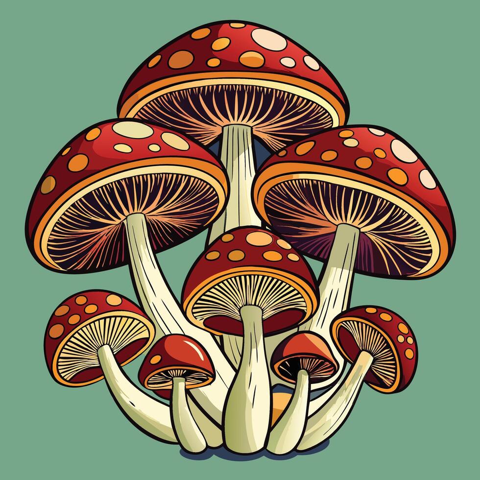 Mushroom Sketches for Botanical Posters vector