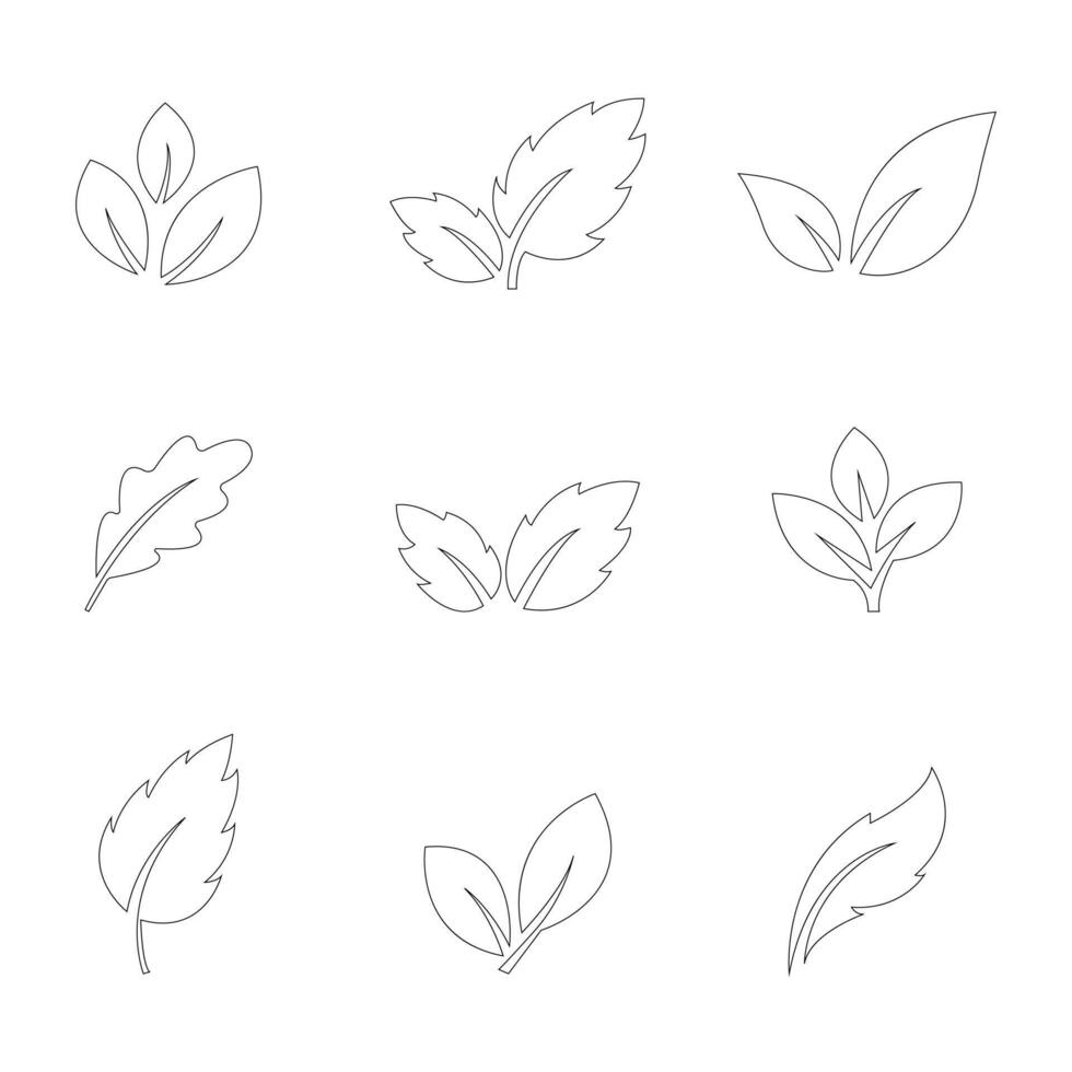 Set monochrome simple leaves botanical branches with stem and foliage illustration vector