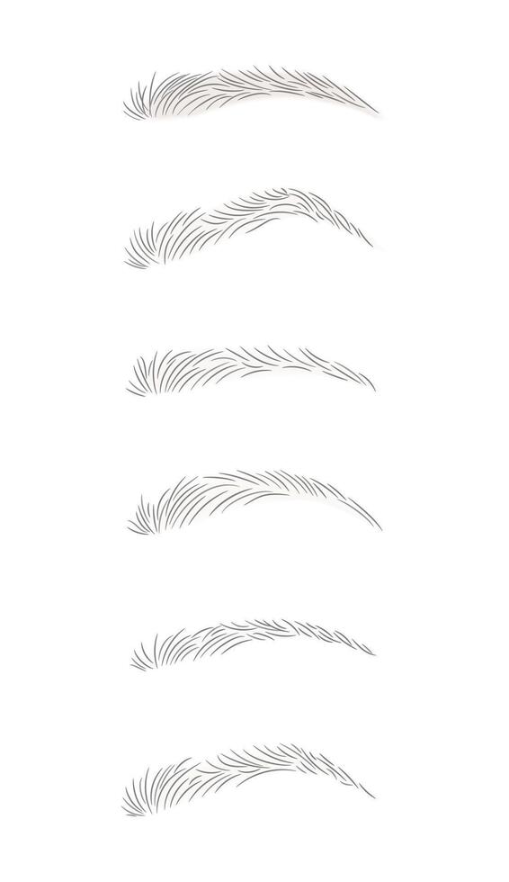 standard Eyebrows Hand Drawn line art cartoon style vector