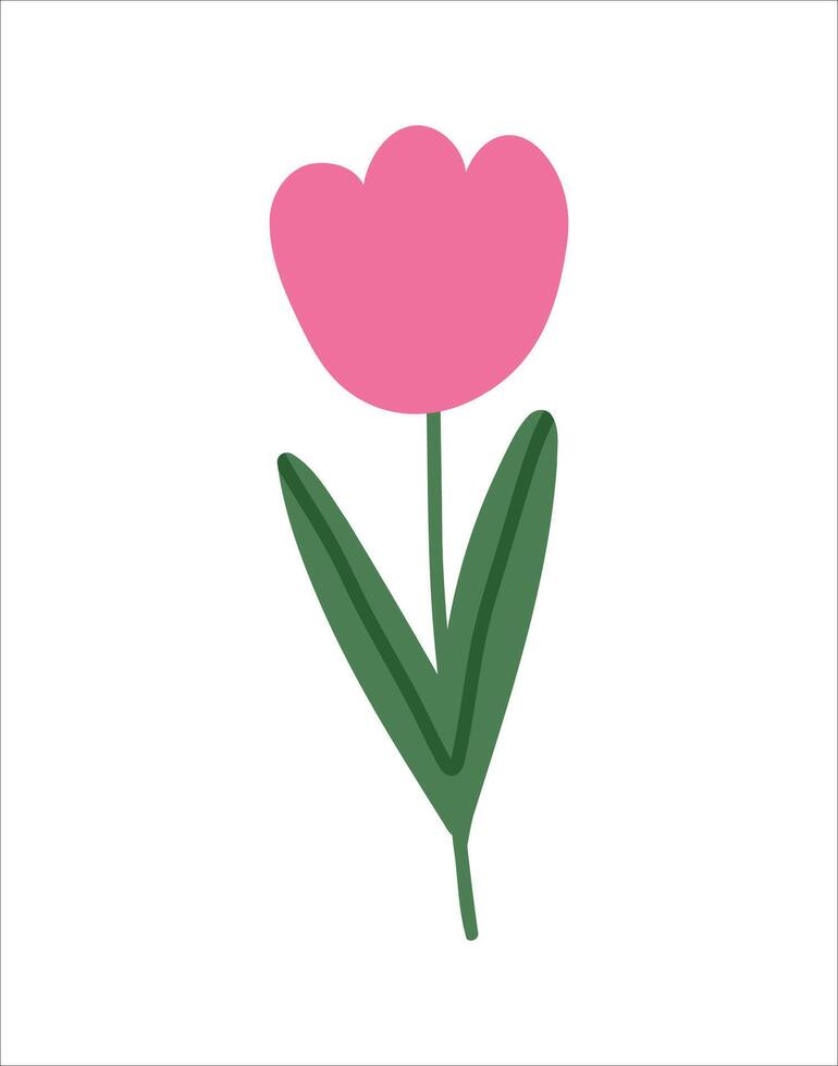 Trendy spring flower doodle style. Flat simple childish pink tulip for card, print, banner, poster, template. Cartoon illustration for children. Hand drawn illustration isolated on white background. vector