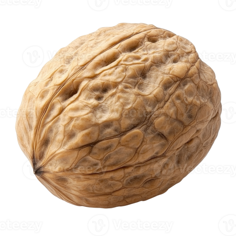 Whole walnut isolated on transparent background, png