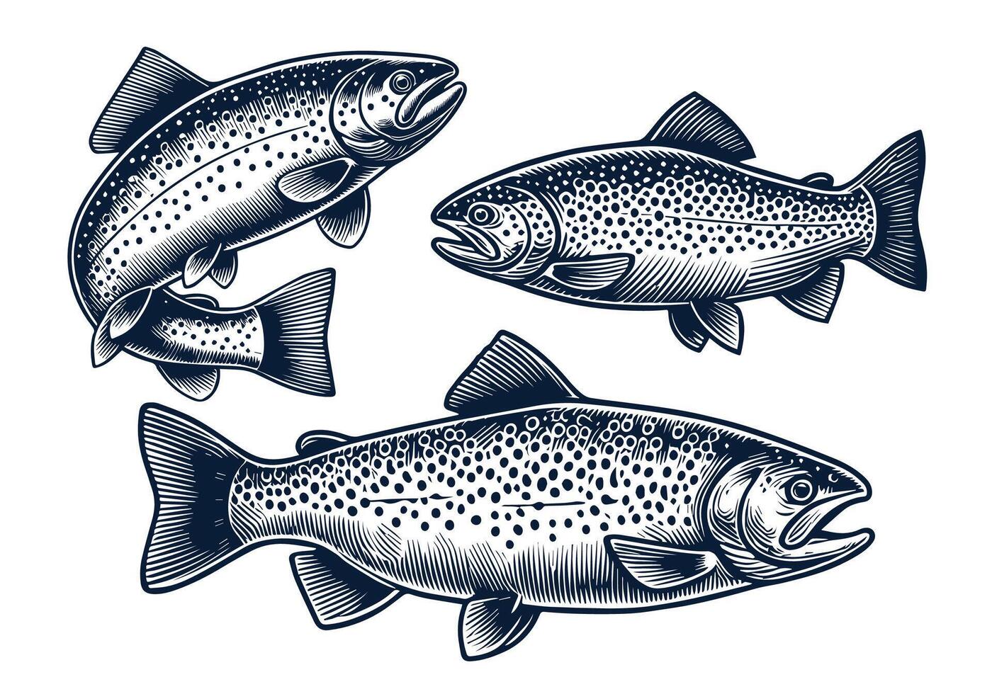 Trout Fish Design Set vector