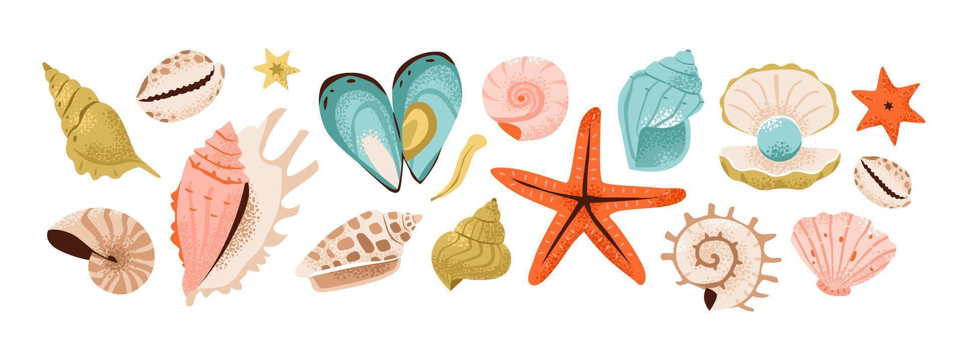 Shells and underwater elements, seashells, pearls, starfish, nautilus to scallops. Vibrant flat illustration of marine treasures. vector
