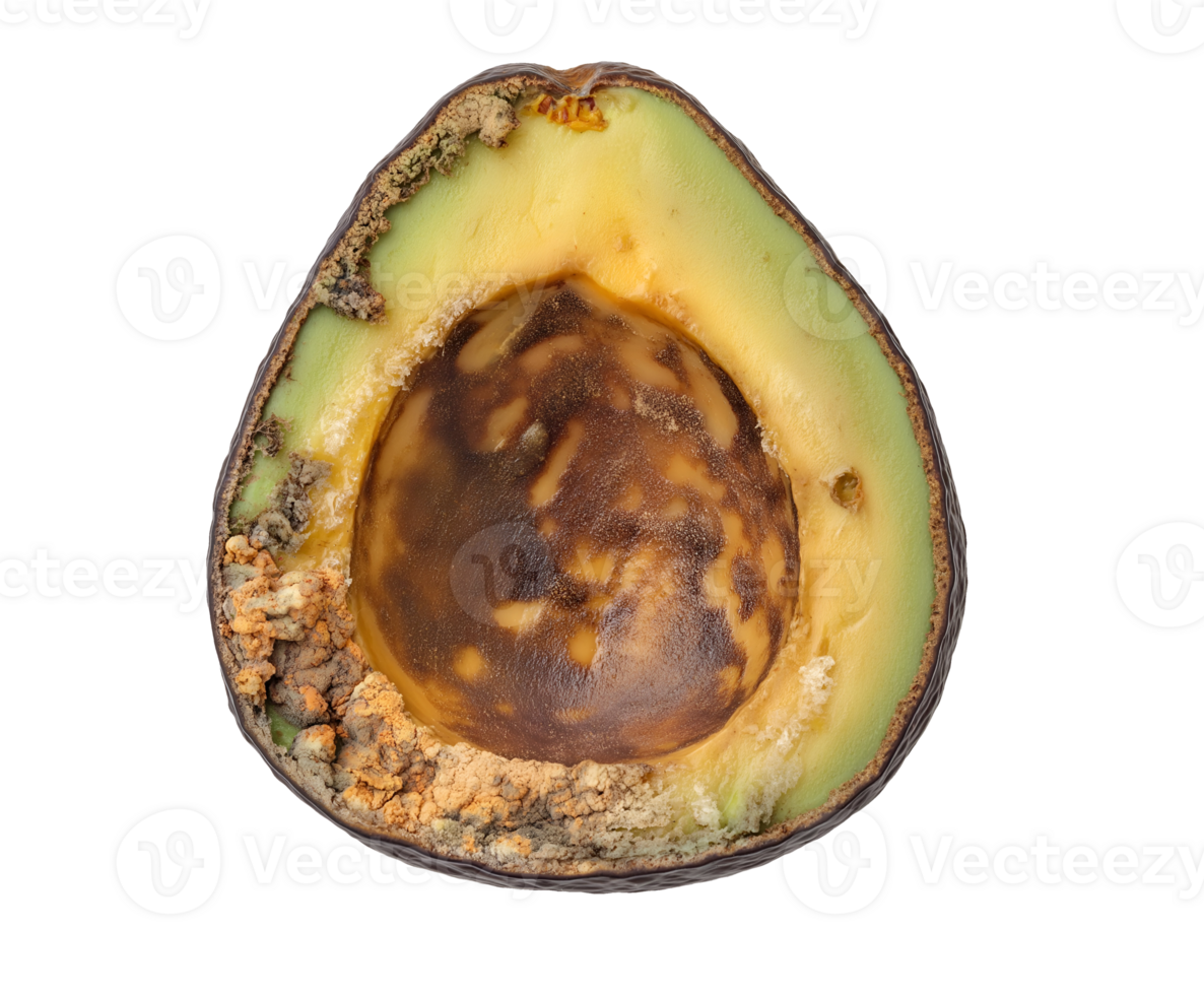 rotting avocado half with brown mushy interior and visible mold, spoiled fruit with fungal growth and decayed seed, decomposing produce with shriveled texture, on isolated background png