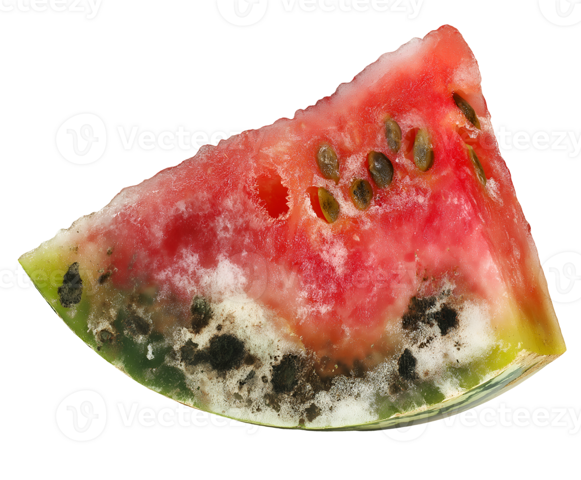 decayed watermelon wedge with soft watery texture and mold growth, spoiled fruit slice with fungal contamination and discoloration, on isolated background png