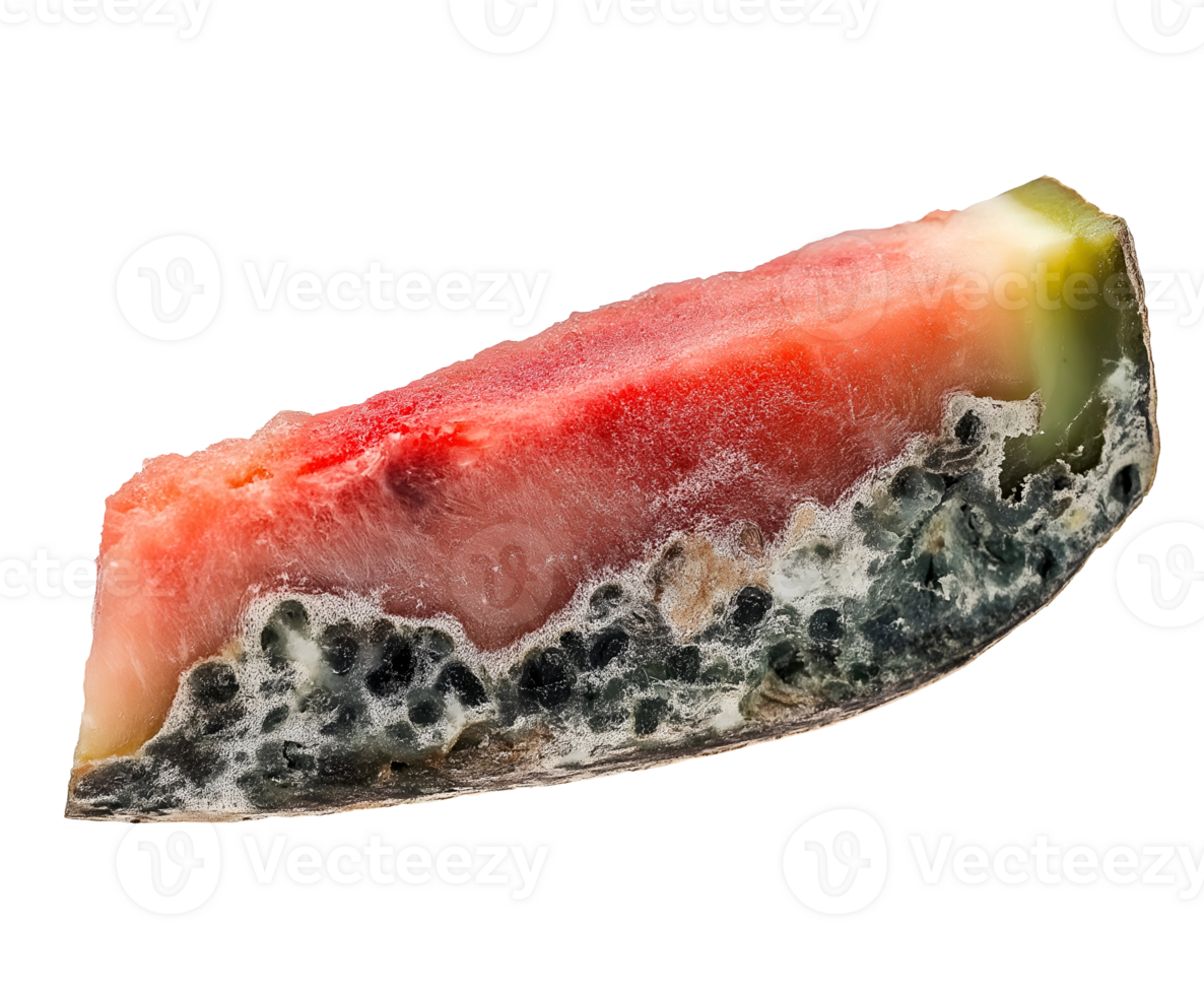 rotting watermelon slice with black mold and fungal infestation, spoiled fruit with decayed texture and discolored flesh, decomposing melon with signs of deterioration, on isolated background png