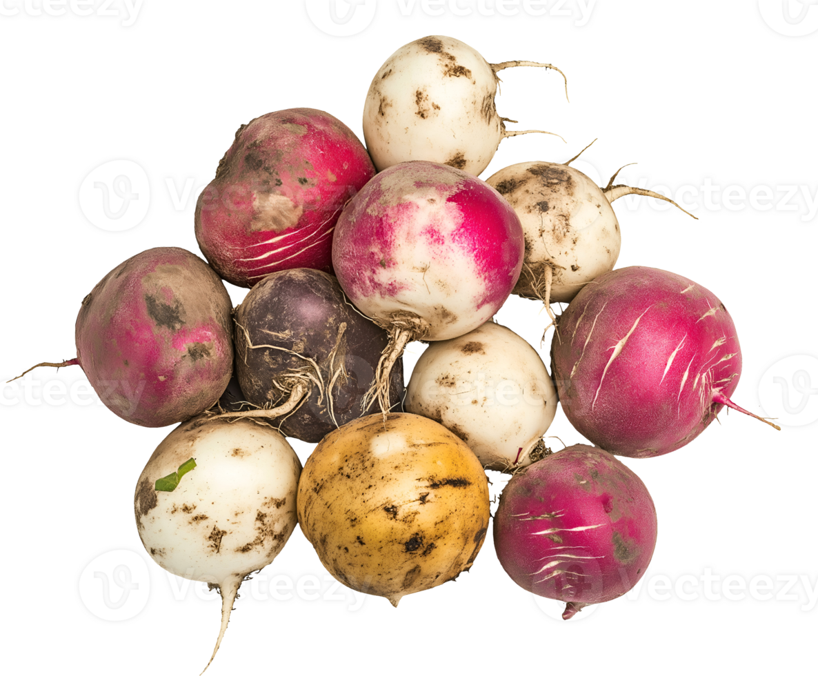 spoiled root vegetables including radishes and turnips, decayed and dirty root crops with blemishes and shriveled texture, aged produce with signs of spoilage, on isolated background png