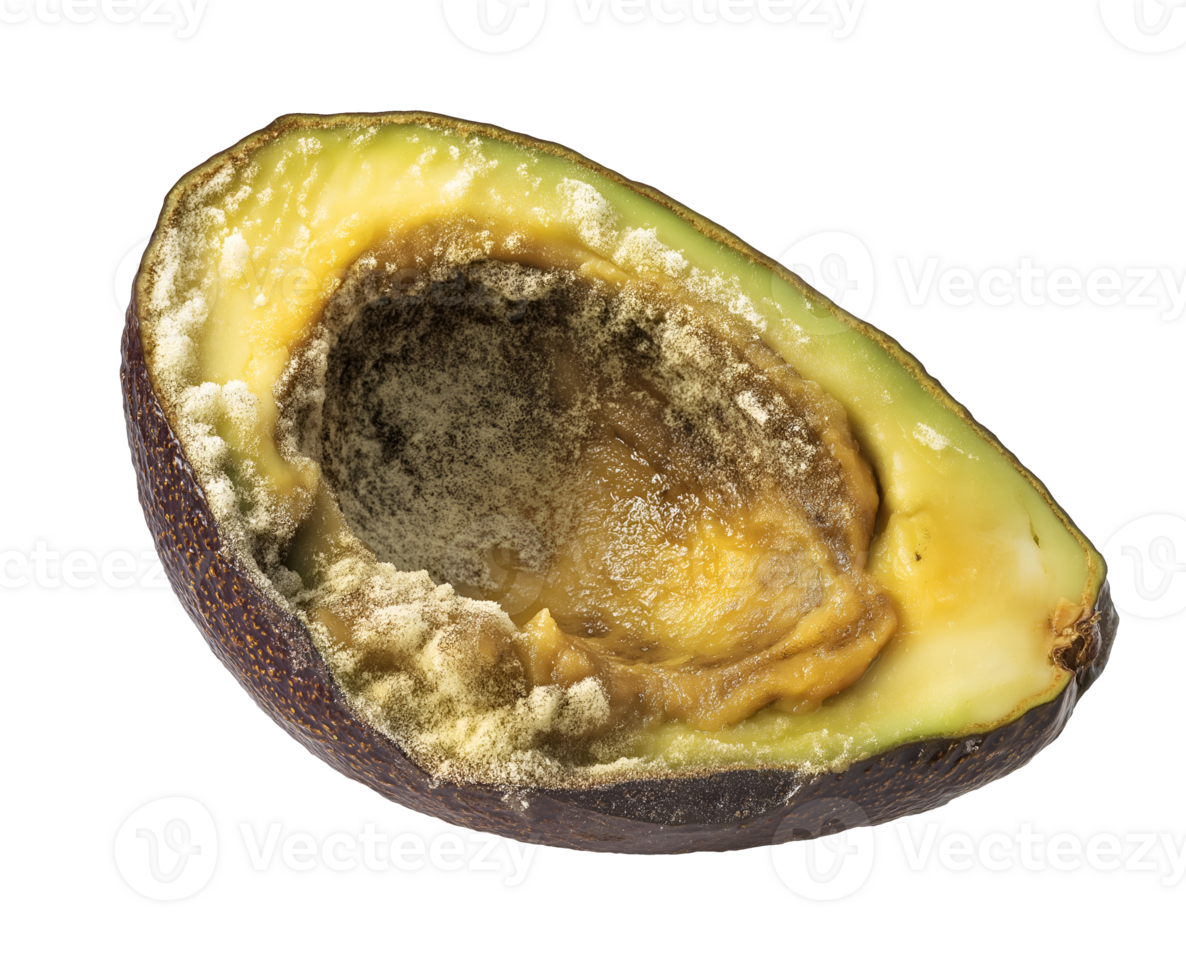 rotting avocado half with brown mushy interior and mold, spoiled fruit with fungal growth and decayed texture, decomposing produce with visible deterioration, on isolated background png