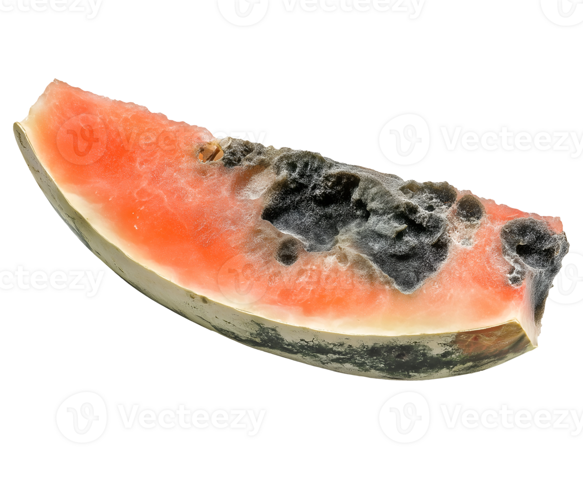 rotting watermelon slice with black mold and fungal growth, spoiled fruit with discolored flesh and decomposition, decayed produce with shriveled texture, on isolated background png