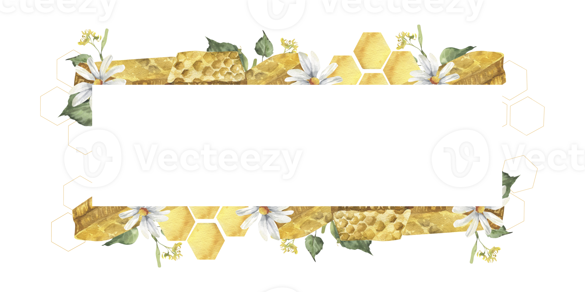Sweet honey banner template with yellow honeycombs and pieces decorated with chamomile and linden illustrations. Hand drawn watercolor frame for cosmetics, product pacing, web poster logo design png
