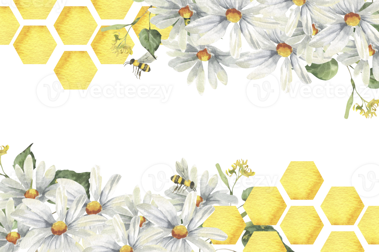 Golden honey combs hexagon with white chamomile flowers and bees watercolor banner. Hand drawn frame with copy space clipart, floral painting with field flowers for organic shop,medicine pack design png