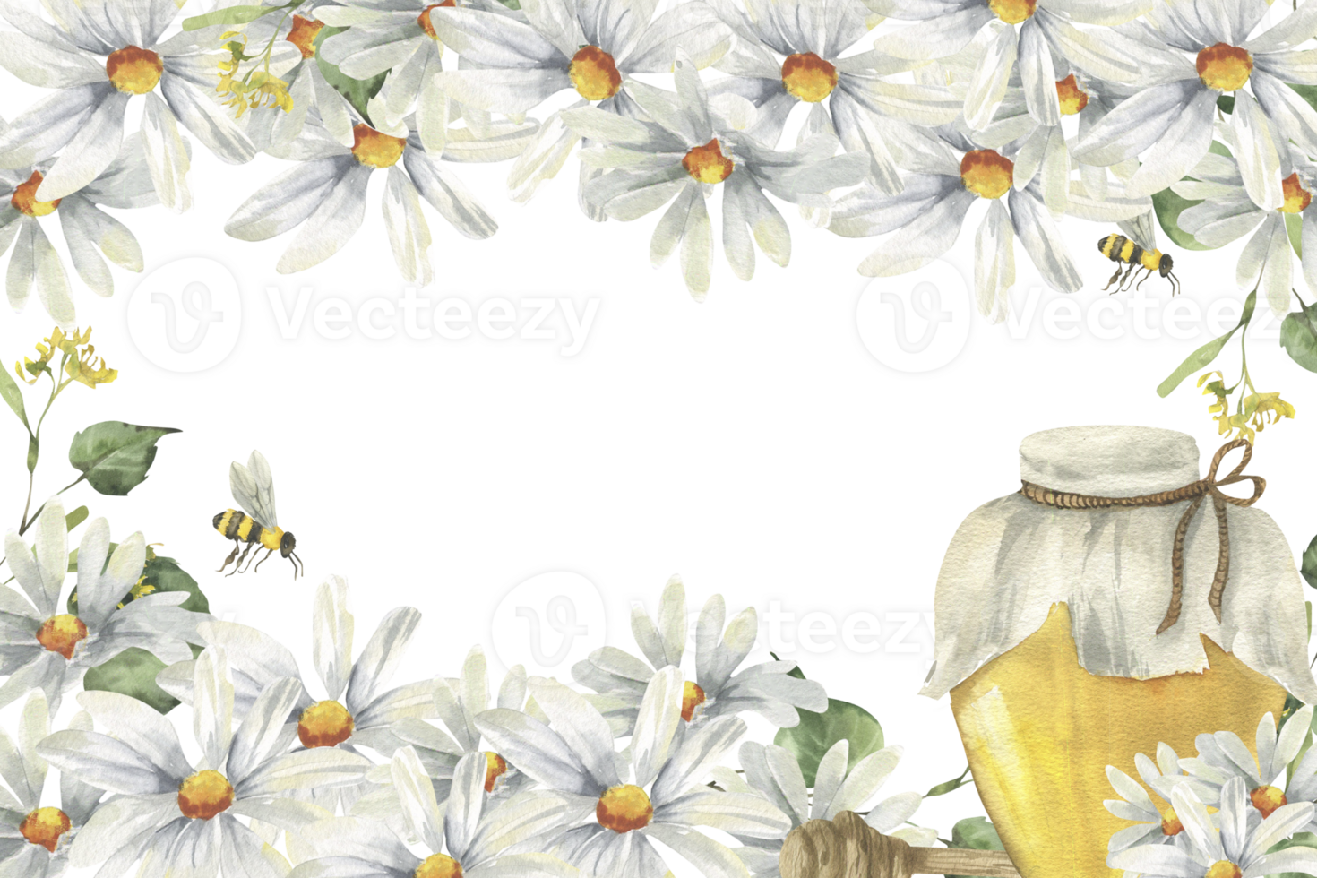 Honey jar with white chamomile flowers watercolor frame. Isolated banner template with field flowers and organic food in glass bottle for product packing, market, poster, invitation design png