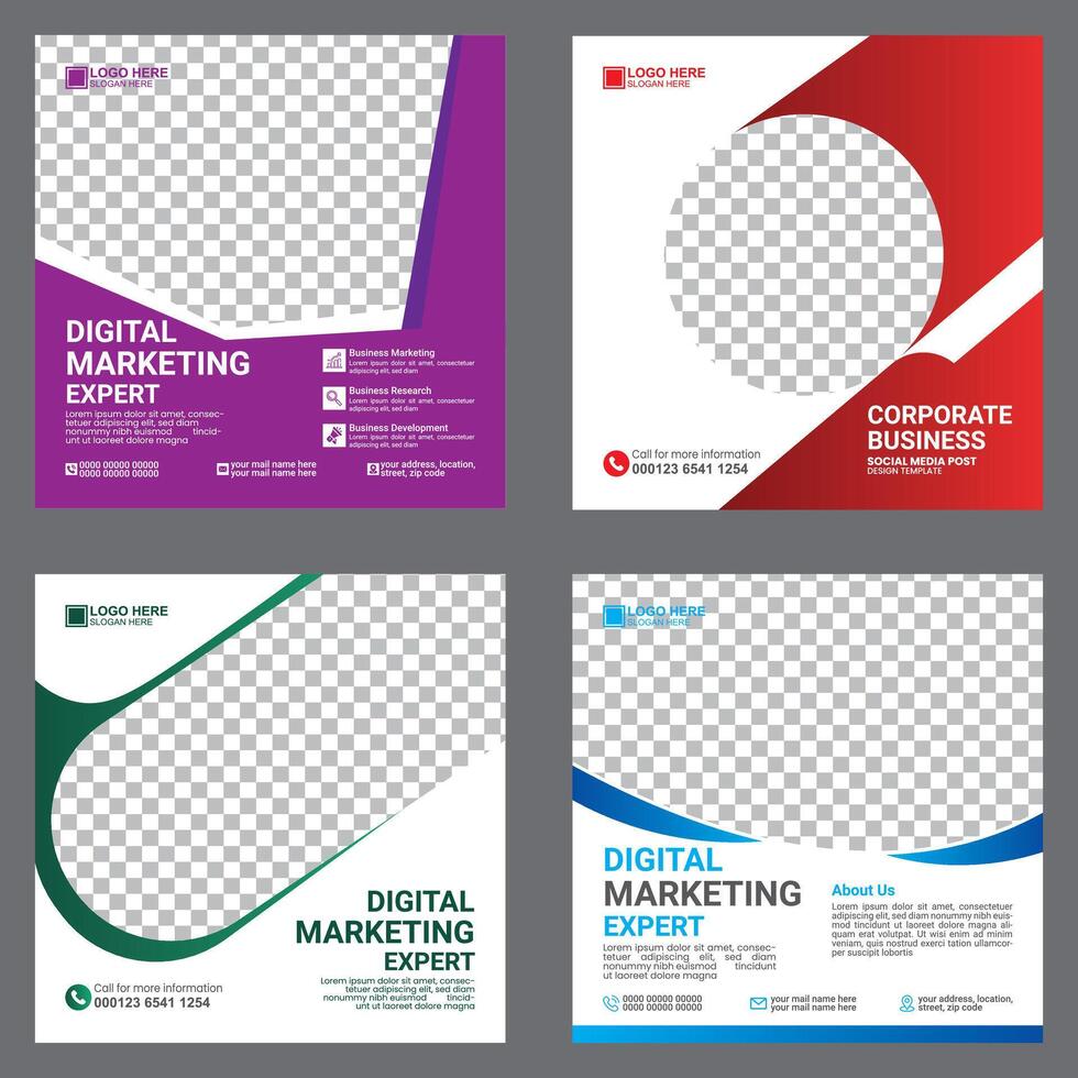 digital marketing company post templates vector