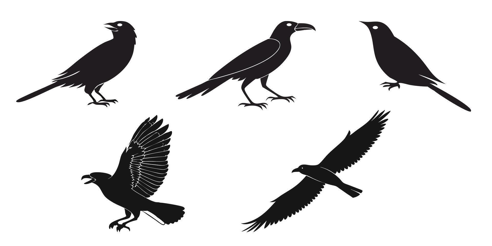 Silhouettes of Birds in Various design vector