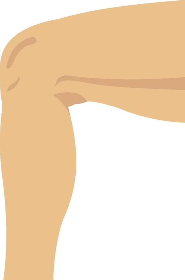Leg illustration with isolated background vector