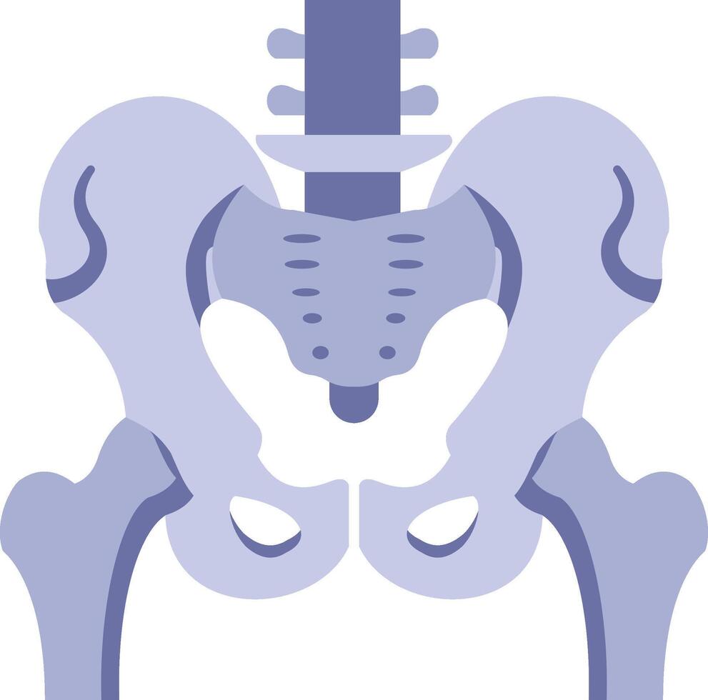 Human Bone Skeleton illustration with isolated background vector