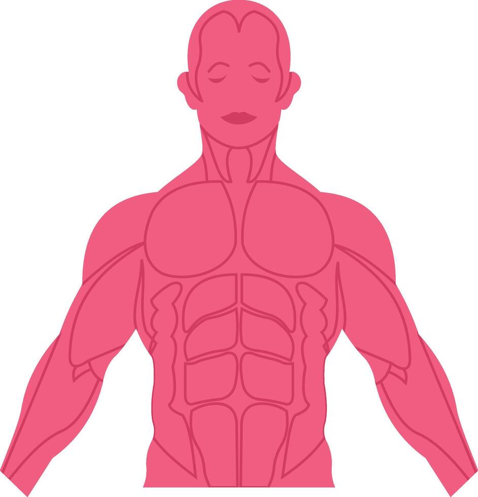 Physical illustration with isolated background vector