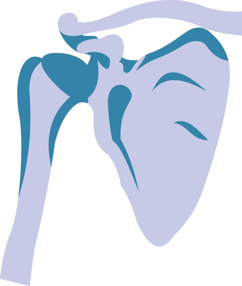 Bone Skeletonillustration with isolated background vector