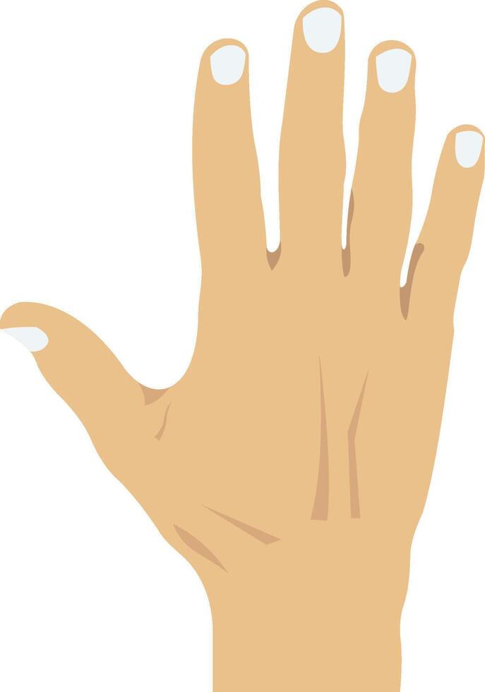 Hand illustration with isolated background vector