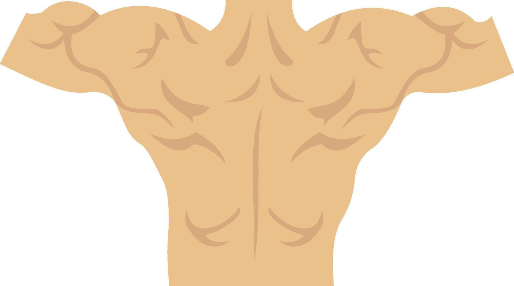 Back illustration with isolated background vector