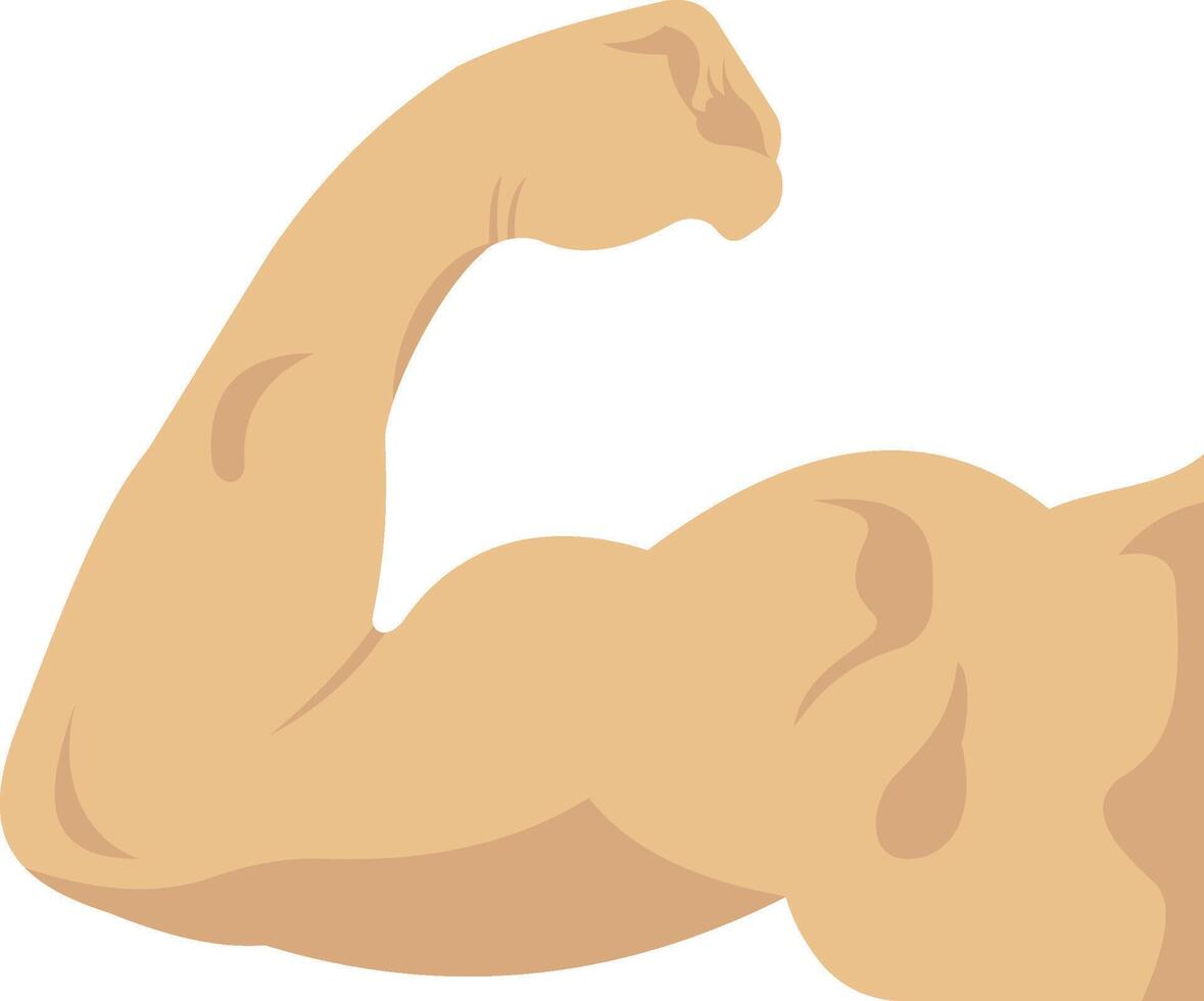 Biceps illustration with isolated background vector