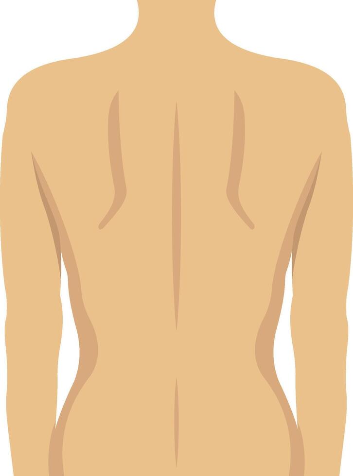 Human Bodyillustration with isolated background vector