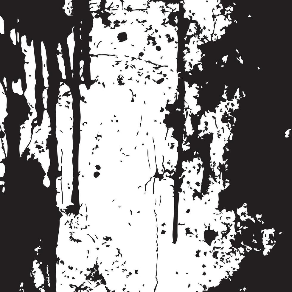 Black and White Grunge Background vector