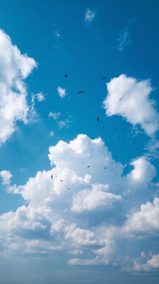 A group of birds flying in the sky photo