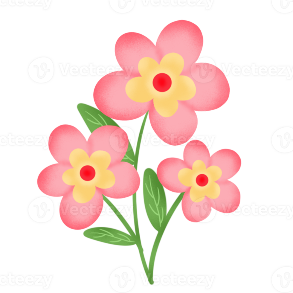 colorful pink flower png