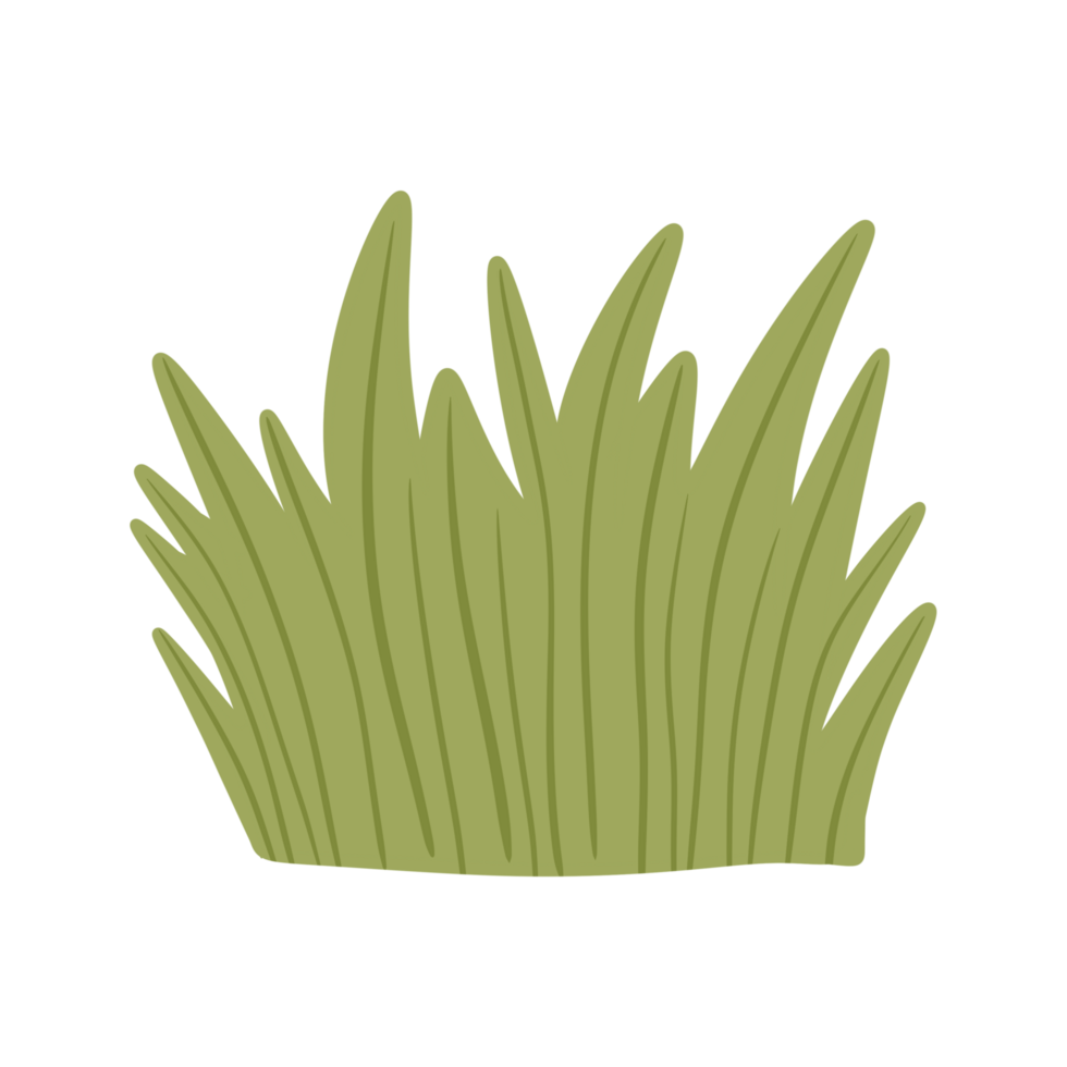green grass hand drawn illustration. Isolated cartoon simple flat bush png