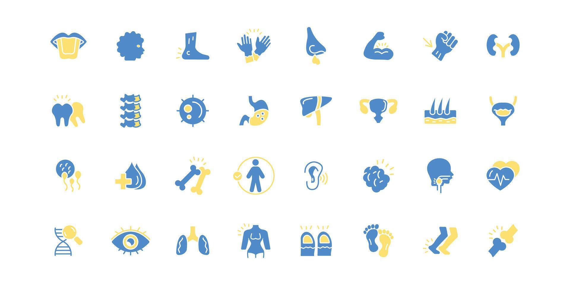 Anatomy icon set.Editable stroke.linear style sign for use web design,logo.Symbol vector