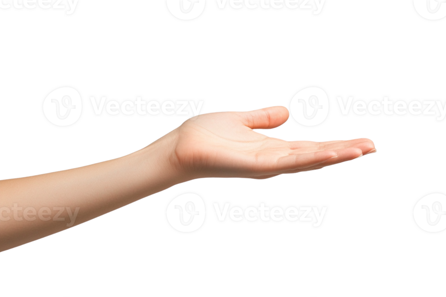 Female hand showing something for design png