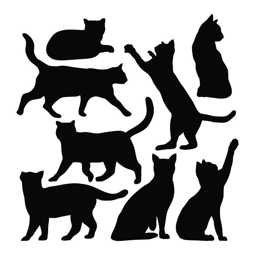 cat silhouettes set on white background vector