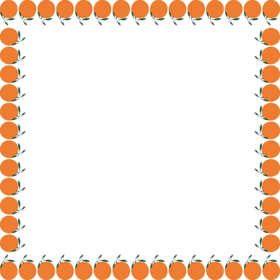 Square fruit frame. Tangerine oranges simple sweet fruits border vector