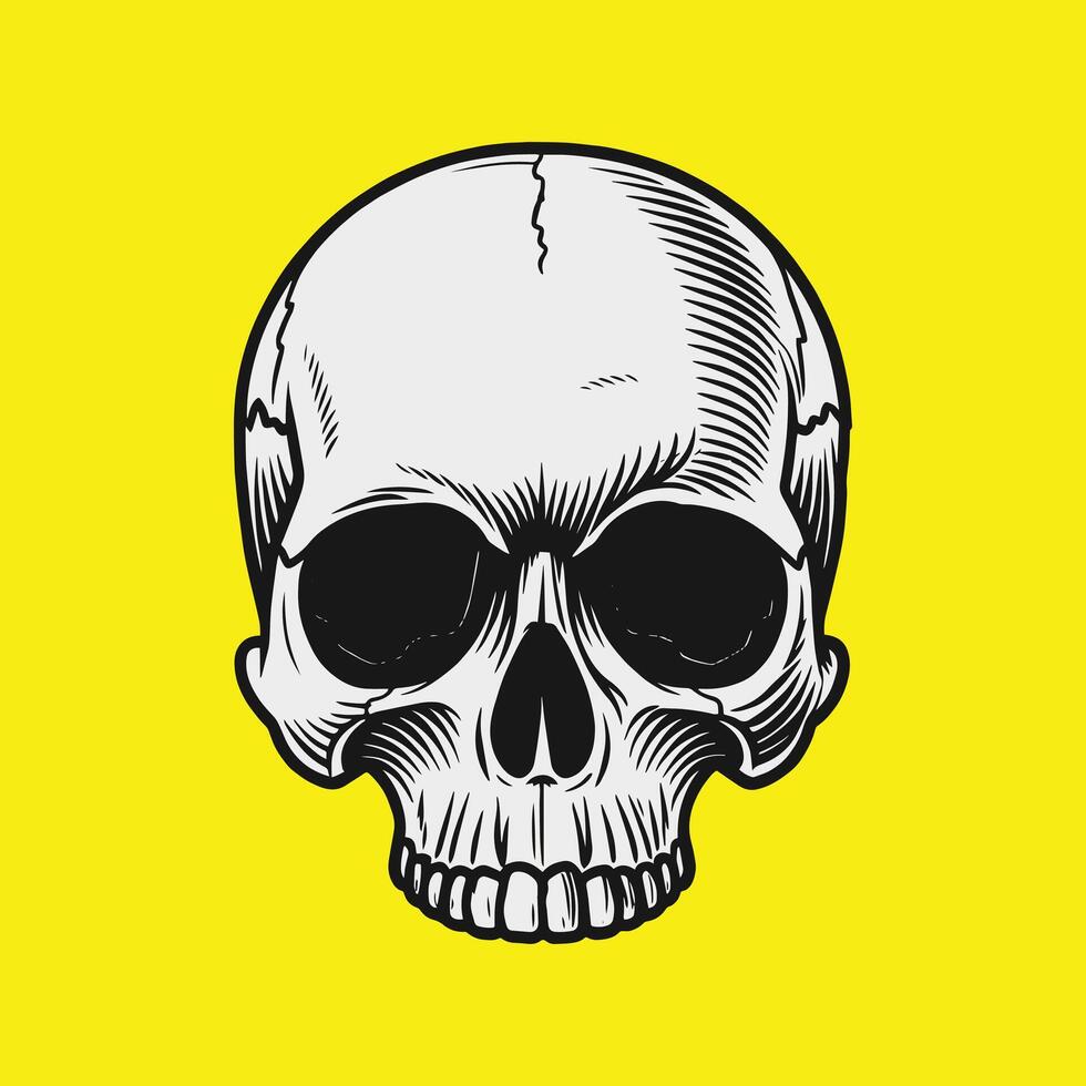 Realistic skull illustration graphic design vector