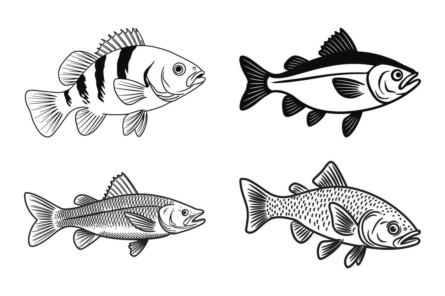 Minimalist fish set line art vector