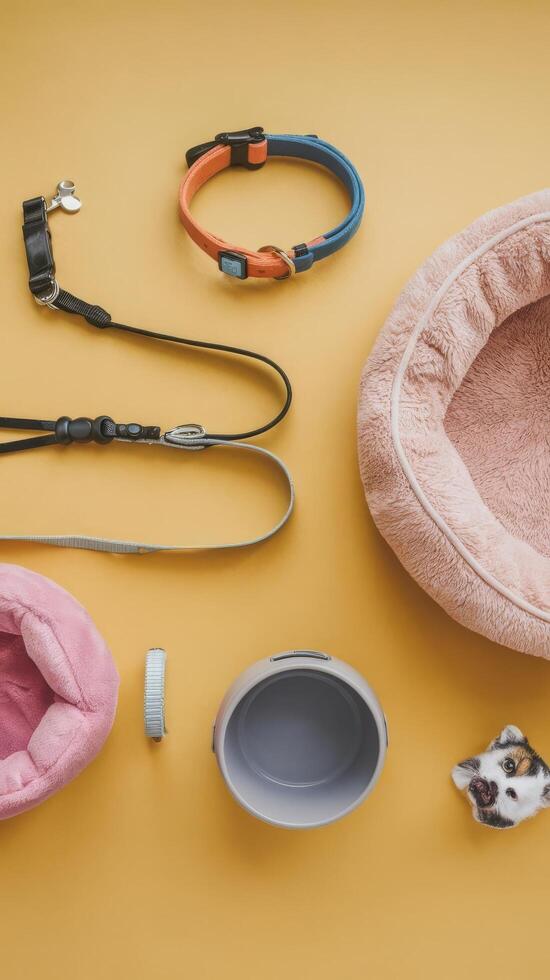 A dog bed, leash, collar, and other accessories laid out on a yellow background photo